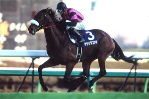 【期限切れ単勝馬券】　有馬記念　2007 マツリダゴッホ　ウマ娘 他全頭 マツリダゴッホ【有馬記念2007】 - YouTube